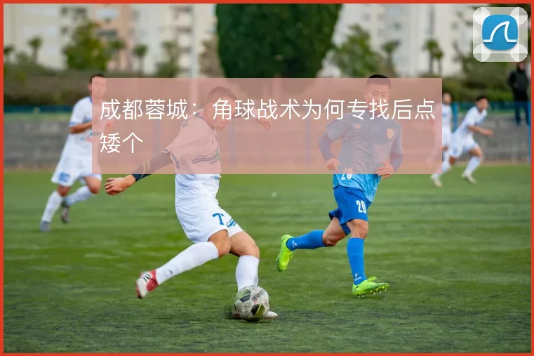 成都蓉城:角球战术为何专找后点矮个